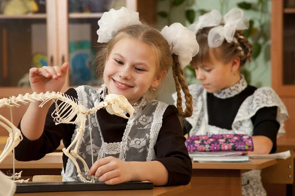 Das Schulmädchen Biologieunterricht — Stockfoto