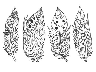 Boho kabile tüy toplama