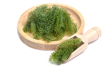 Deniz üzümü (yeşil havyar) deniz yosunu, sağlıklı yiyecek.