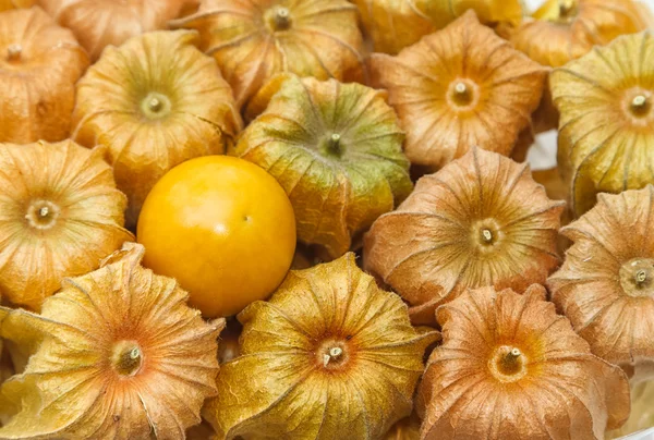 Healthy fresh Cape Gooseberry fruit use as background — Stock Photo, Image