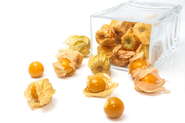 Cape Gooseberry (Physalis peruviana) in glass bowl on white back — Stock Photo, Image