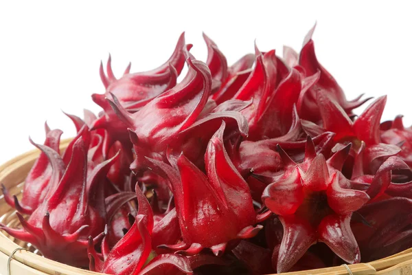 Hibiscus sabdariffa / Roselle / Healthy Food Alternativa Medicin — Fotografia de Stock