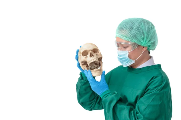 Surgeon man with protective clothing holding an artificial skull — Stock Photo, Image