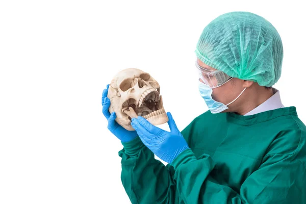 Chirurg man met beschermende kleding houden een kunstmatige schedel — Stockfoto