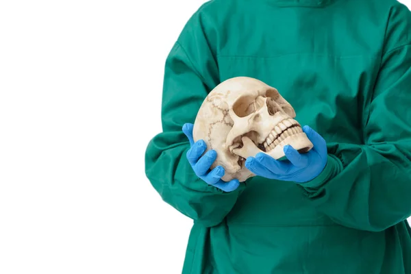 Cirujano con ropa protectora sosteniendo un cráneo artificial — Foto de Stock