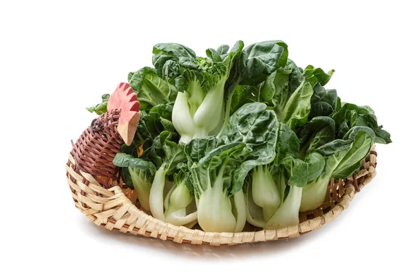 Bok Choy Gemüse isoliert auf dem weißen Hintergrund — Stockfoto