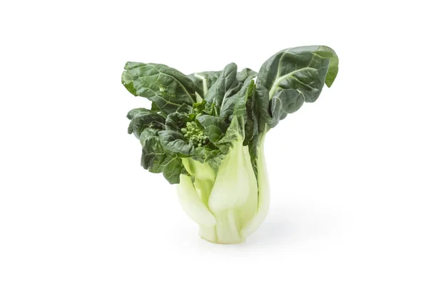 Bok choy vegetale isolato sullo sfondo bianco — Foto Stock