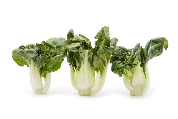 Bok choy vegetale isolato sullo sfondo bianco — Foto Stock