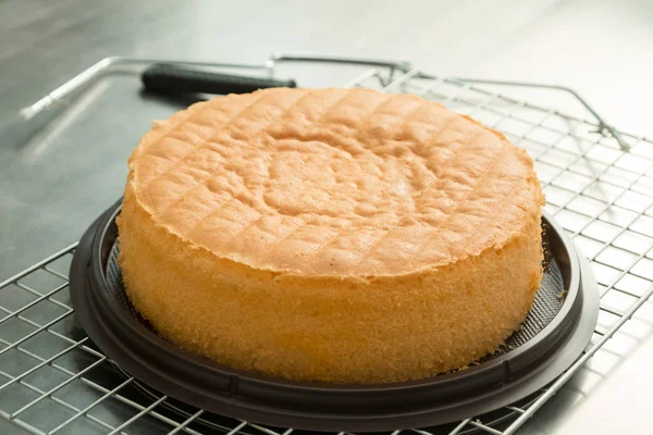 Layer cake Hemgjort bageri — Stockfoto