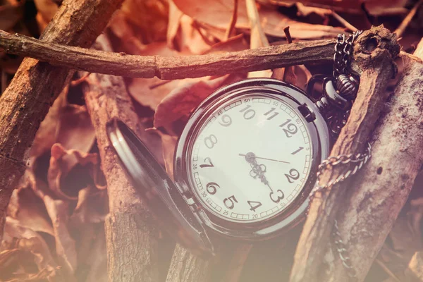 Antique pocket watch against the background of dried leaves