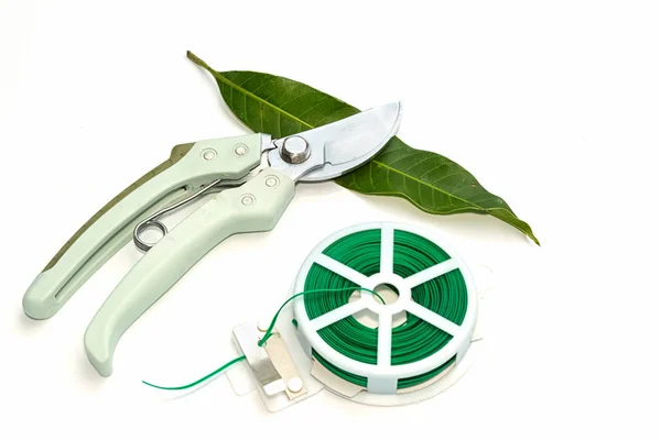 Garden soft tie and pruning shears ,gardening tools on white — Stock Photo, Image