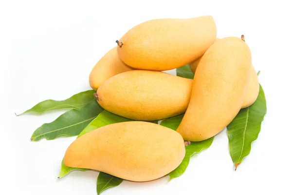 Sárga mango, elszigetelt fehér background — Stock Fotó