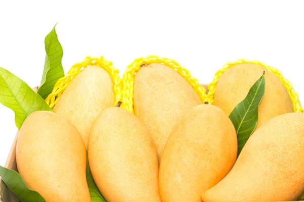 Rippade mango i en pappask isolerad på vit bakgrund — Stockfoto