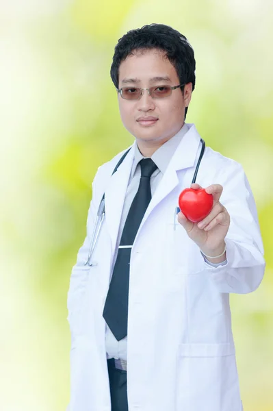 Médico asiático segurando um coração, conceito de doenças cardiovasculares . — Fotografia de Stock