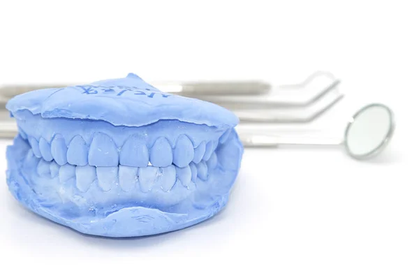 Denture cast gypsum model and dental tools set — Stock Photo, Image