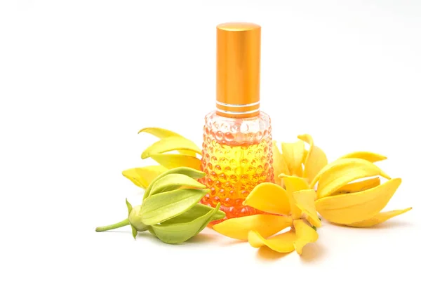 Олія іланг-іланг з квітами, ефірна олія ароматерапії — стокове фото