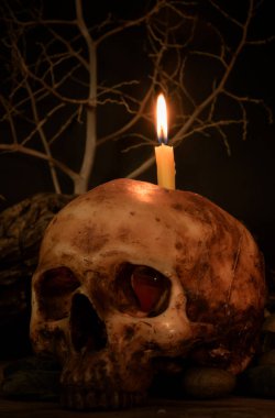 Mum ışık, halloween Tema altında insan kafatası