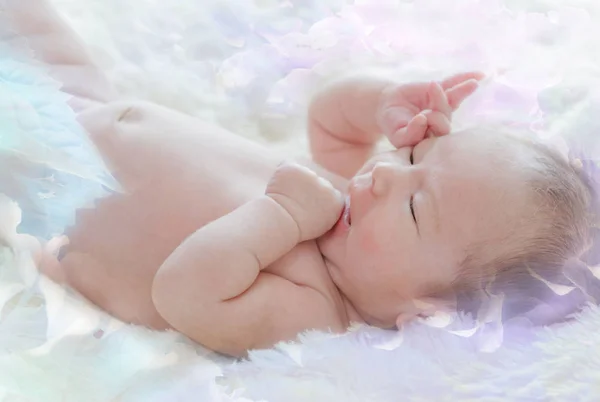 Bébé fille nouveau-né sur couverture de fourrure sur fond de fleur — Photo