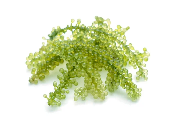 木の板でぶどう (緑キャビア) 海藻 — ストック写真