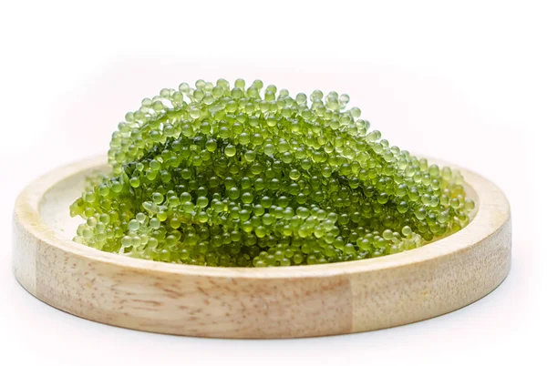 Seagrapes (green caviar ) seaweed in wooden plate — Stock Photo, Image