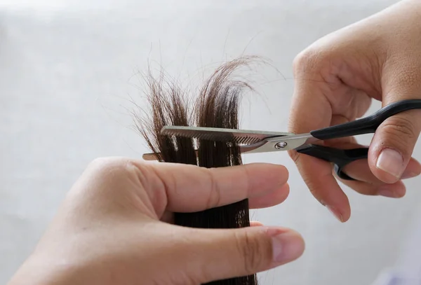 Closeup kadeřník ořezávání hnědé vlasy s nůžkami. — Stock fotografie