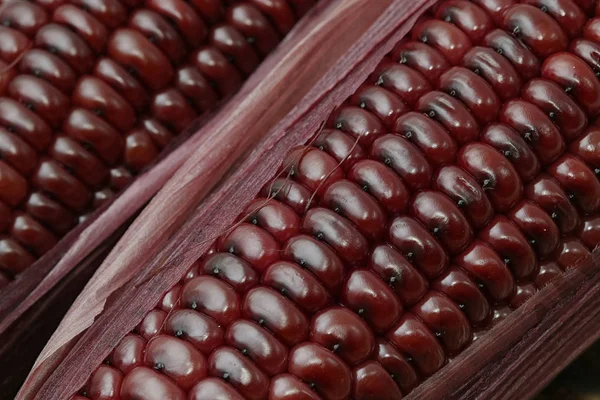 Primer plano de maíz morado, textura y fondo —  Fotos de Stock