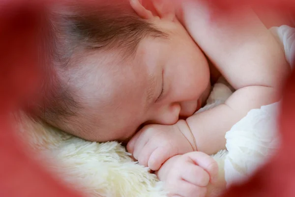 Bebé recién nacido niña está durmiendo en manta — Foto de Stock