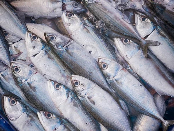 Makrela ryby na rynku tabeli dla sprzedaży — Zdjęcie stockowe