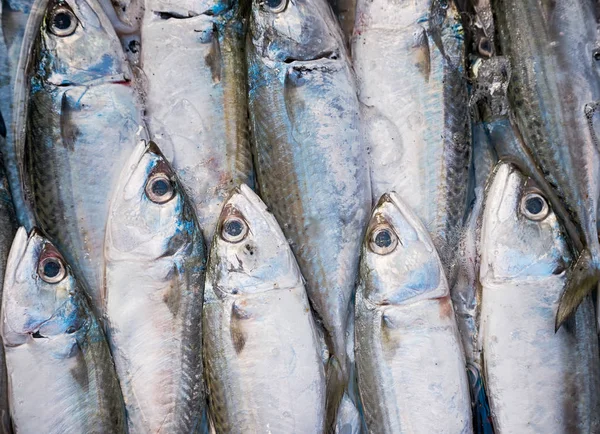 Stos Świeże Snapper Targu Rybnym — Zdjęcie stockowe