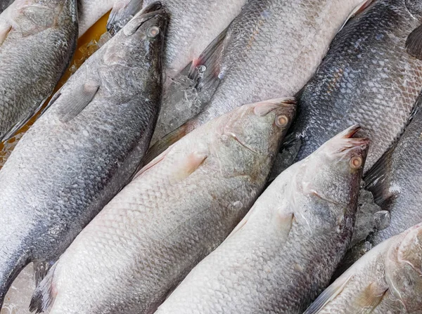 Stos świeże Snapper targu rybnym — Zdjęcie stockowe