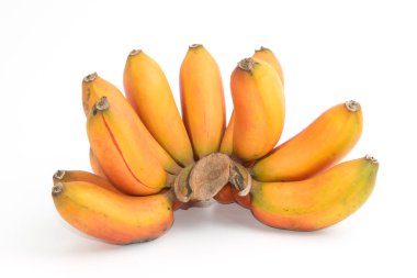 Kırmızı Muz Musa muz (Musa paradisiaca) beyaz