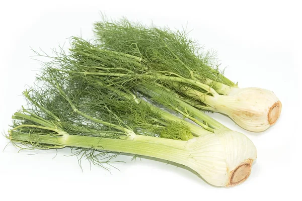 Fennel Bulb with leaves on white background. — Stock Photo, Image