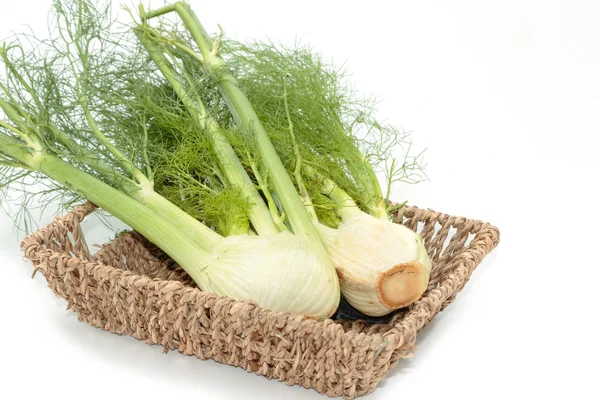 Fänkål bulb med blad på vit bakgrund. — Stockfoto