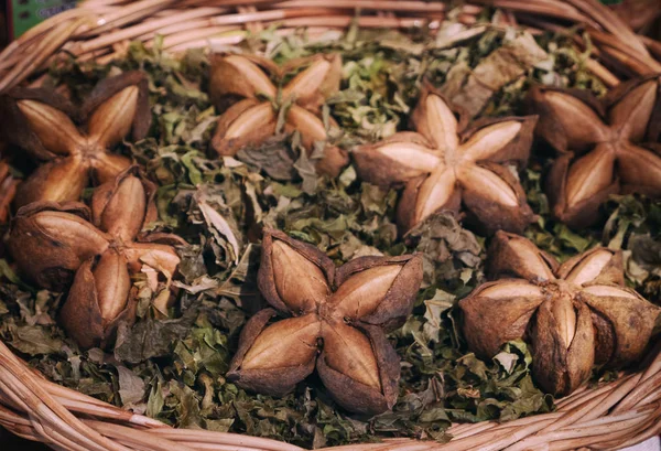 Dried sacha inchi seeds on roasted sacha inchi tea — Stock Photo, Image