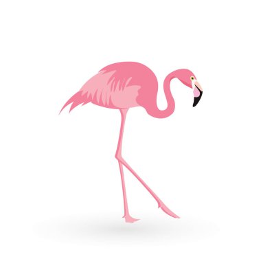 Pembe flamingo. Vektör çizim. Beyaz arka plan üzerinde izole. Kuş çizim tasarım arka plan üzerinde.