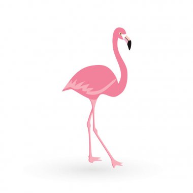 Pembe flamingo. Vektör çizim. Beyaz arka plan üzerinde izole. Kuş çizim tasarım arka plan üzerinde.