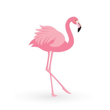 Pembe flamingo. Vektör çizim. Beyaz arka plan üzerinde izole. Kuş çizim tasarım arka plan üzerinde.
