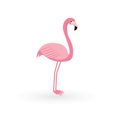 Pembe flamingo. Vektör çizim. Beyaz arka plan üzerinde izole. Kuş çizim tasarım arka plan üzerinde.