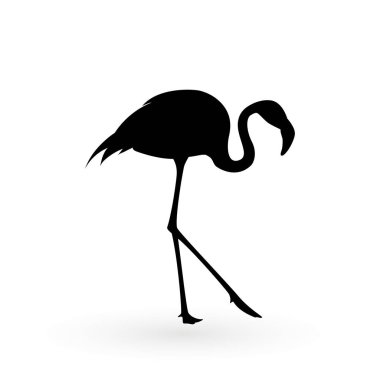 Pembe flamingo. Vektör çizim. Beyaz arka plan üzerinde izole. Kuş çizim tasarım arka plan üzerinde.