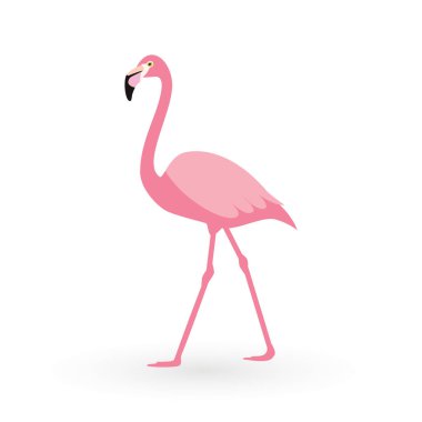 Pembe flamingo. Vektör çizim. Beyaz arka plan üzerinde izole. Kuş çizim tasarım arka plan üzerinde.