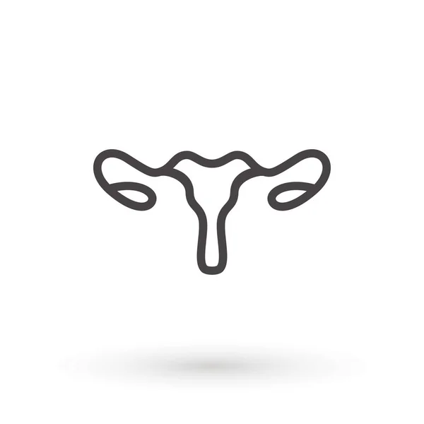 Anatomie van het vrouwelijke voortplantingsstelsel. vrouwelijk baarmoeder icoon. Geïsoleerde vectorillustratie op witte achtergrond — Stockvector