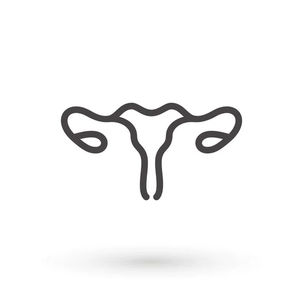 Anatomi i det kvinnliga fortplantningssystemet. Kvinnlig livmoderikon. Isolerad vektor illustration på vit bakgrund — Stock vektor