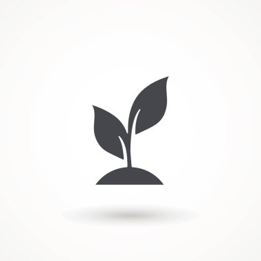 Plant icon on white background Seedling Seed icon