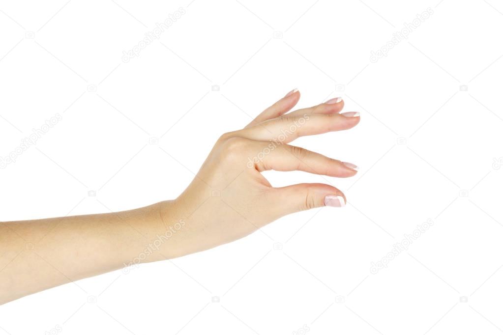 Female hand on white background.