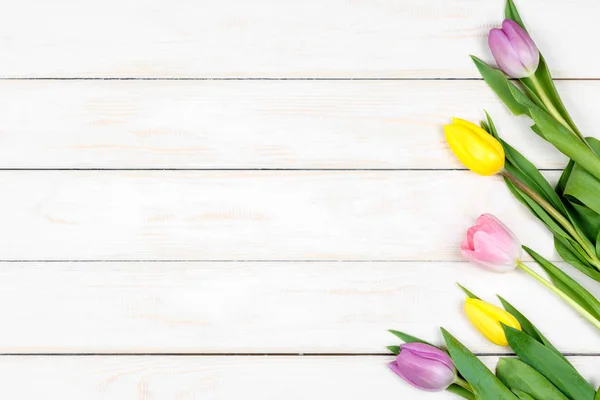 Bando de tulipas coloridas deitadas sobre um fundo de madeira branco — Fotografia de Stock