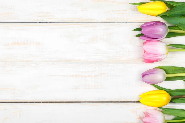 Linha de tulipas coloridas deitado sobre um fundo de madeira branco — Fotografia de Stock