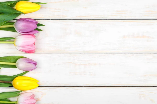 Linha de tulipas coloridas deitado sobre um fundo de madeira branco — Fotografia de Stock