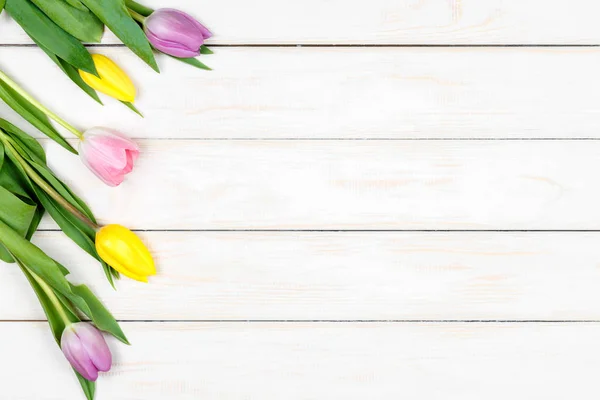 Bando de tulipas coloridas deitadas sobre um fundo de madeira branco — Fotografia de Stock