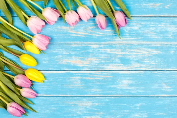 Bando de tulipas amarelas e rosa deitadas em um backgroun de madeira azul — Fotografia de Stock