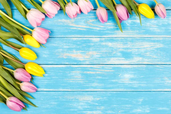 Bando de tulipas amarelas e rosa em um fundo de madeira azul . — Fotografia de Stock